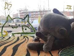 -平行世界·猫咖(首经贸店)