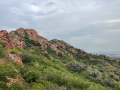 -红山国家森林公园