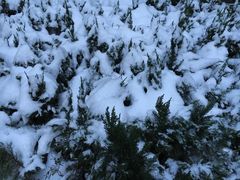 -秋林公司(北大街店)