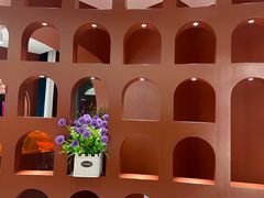 -马白开来特色羊排揪片子  (总店)