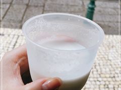 -洪馨椰子