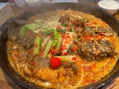 -老板恋上鱼(印象城店)