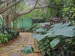 -海南热带野生动植物园
