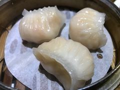 虾饺-糖朝(尖沙咀店)