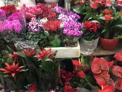 -无锡文化工艺品市场(槐古路店)