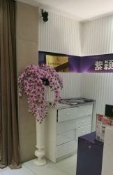 -紫颖·专业美胸·连锁养护中心