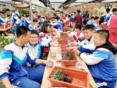 -金陵中学(河西分校)