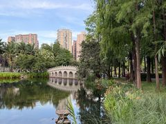 -四海公园(南山区)
