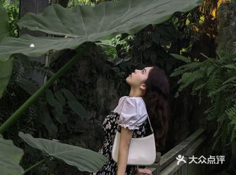 中秋来植物园看花展夜游啦，老阿姨找回童真