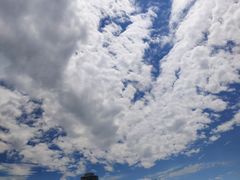 -山东大学(千佛山校区)