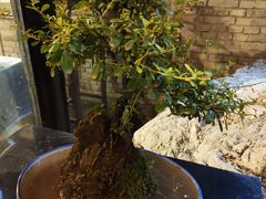 -鱼桥巷·美学川菜