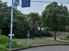 -胜华驾校·小猫学车(银都店)
