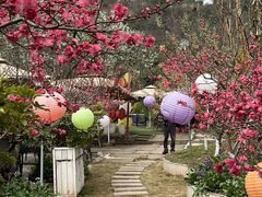-桃源山庄·水蜜桃采摘·柴火鸡·烧烤团建(龙泉山店)