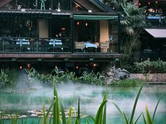 -静安公园(静安寺街道)