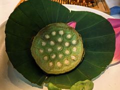 -叶叶菩提(太原别墅店)