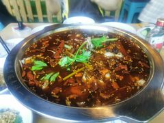 -老表牌·蛙蛙鸡冷锅鱼(成都东站店)