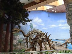 -延庆地质公园博物馆