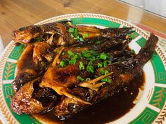 红烧昂刺鱼-洞天食府(北大街店)