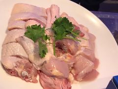 吃稻谷文昌鸡-千岛蚝高压锅生蚝·人参火锅(白云万达店)