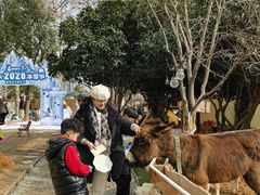 -HERRE·FARM 赫尔露营农场·团建聚会包场