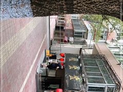 -辣盆盆麻辣小龙虾(哈尔滨总店)