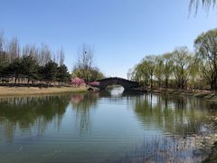 -大兴滨河森林公园