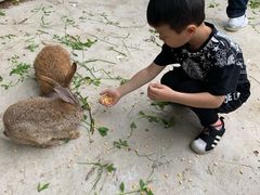 -上海海湾国家森林公园