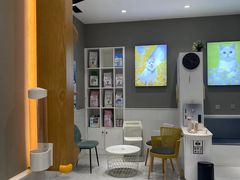 -关爱宠物医院·猫科中心·消化科(滨湖万达分院)