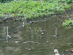-同里国家湿地公园