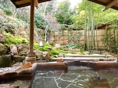 -有马温泉 竹取亭円山温泉旅馆