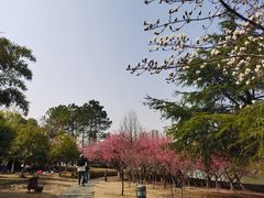 -白塘生态植物园