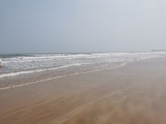 -今鲜源大酒店·中华餐饮名店(新湛路店)