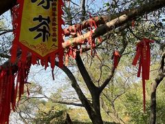 -云洞岩风景区