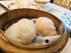 金城虾饺皇-金城大酒店-中餐厅(汾江中路店)