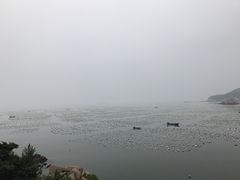 -枸杞岛