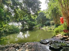 -成都市活水公园