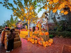 -郑州方特梦幻王国