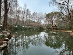-杭州植物园
