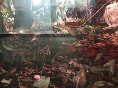 -威勒比开放式动物园