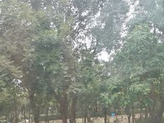 -深圳湾公园(南山区)