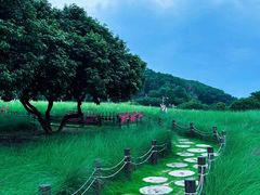 -红花山公园