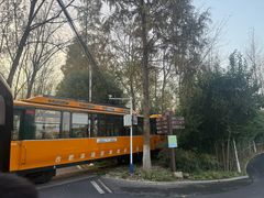 -合肥滨湖国家森林公园