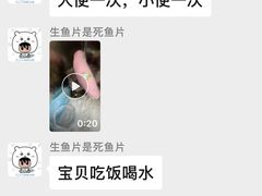 -半岛宠物医院24小时(科华中路店)