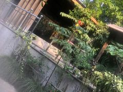 -张家港金凤凰度假村温泉