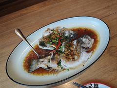 -新白鹿餐厅(城西银泰城店)