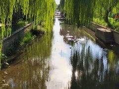 -海棠花溪(元大都城垣遗址公园)