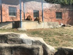 -无锡动物园·太湖欢乐园