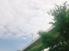 -秀丽东方