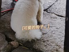 -小河无名面馆