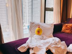 -青岛富力艾美酒店